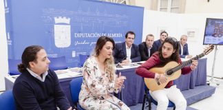 Circuito Provincial de Flamenco, Homenaje Camarón - Diputación de Almería