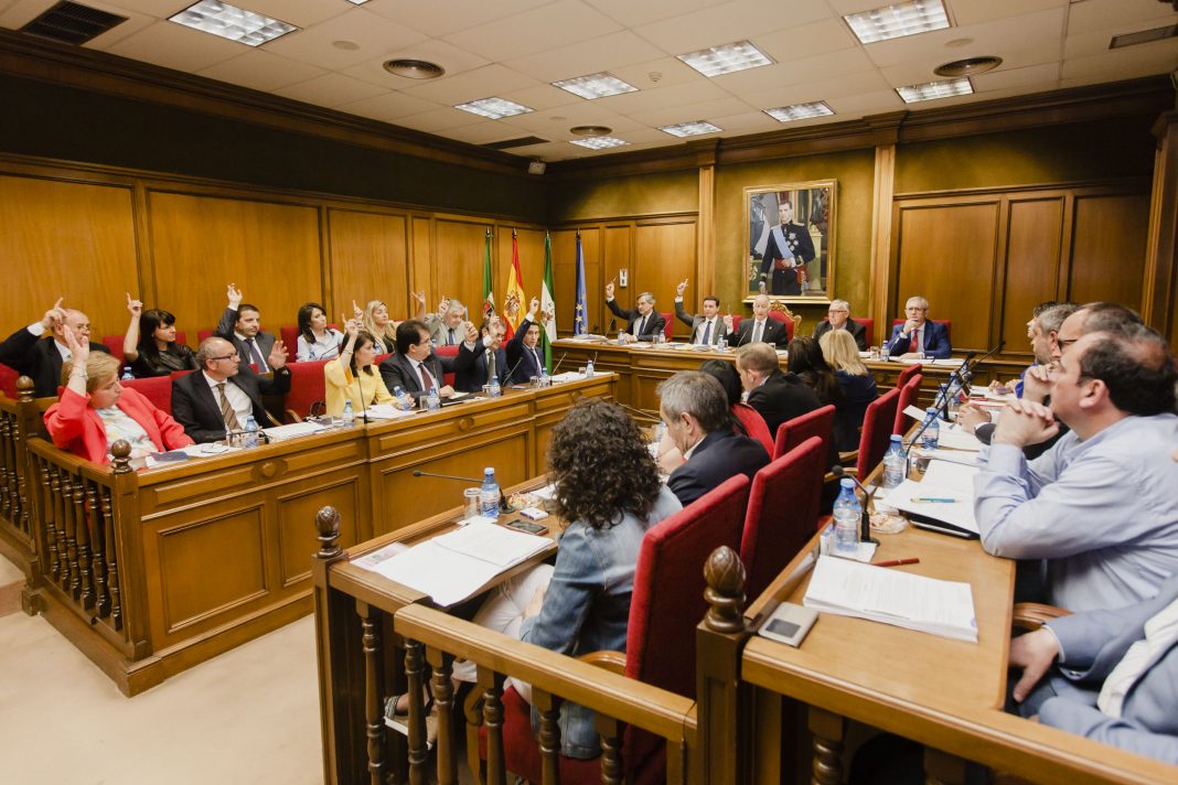 Pleno Diputación de Almería