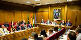 Luz verde por unanimidad al Plan de Espacios Culturales y el Reglamento de ‘Sabores Almería’