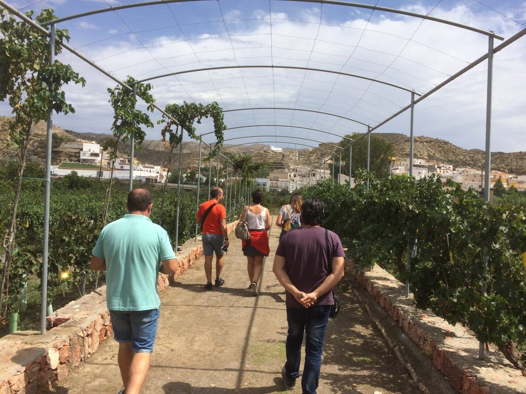 Blog trip interior provincia con 'El Giroscopio Viajero' - Diputación Almería