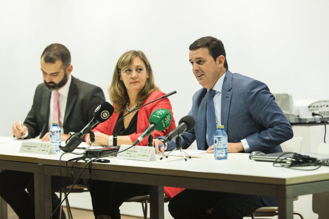 Jornadas de Accesibilidad Universal de Fundación ONCE - Diputación Almería