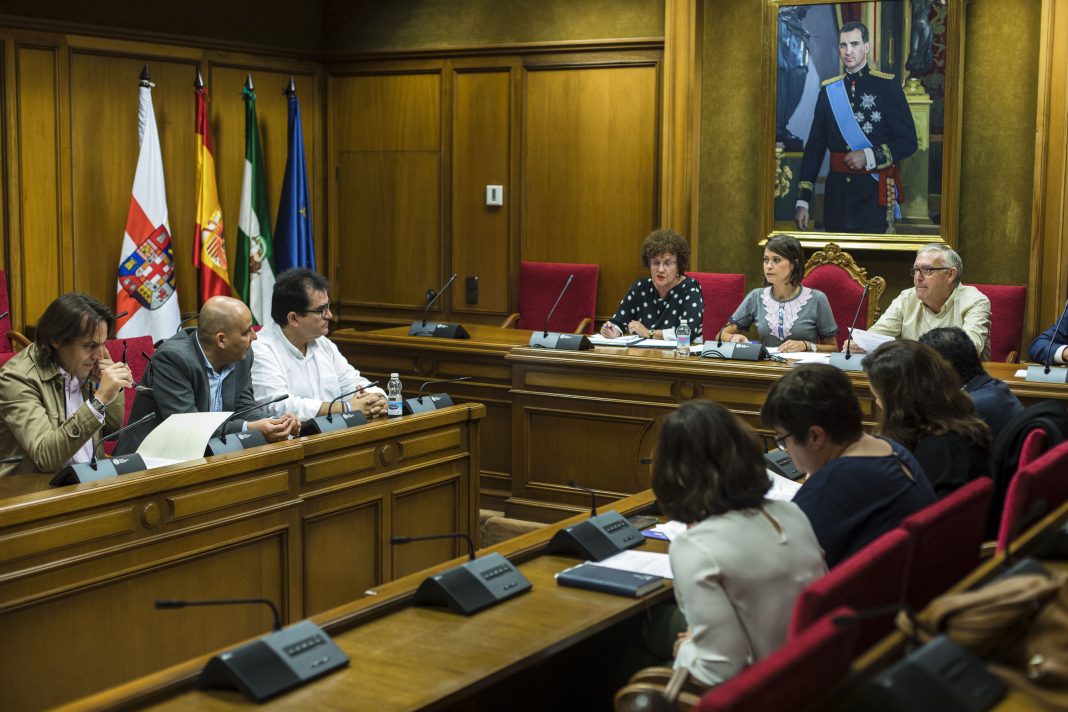 Constitución del Consejo Rector de Tutela - Diputación Almería