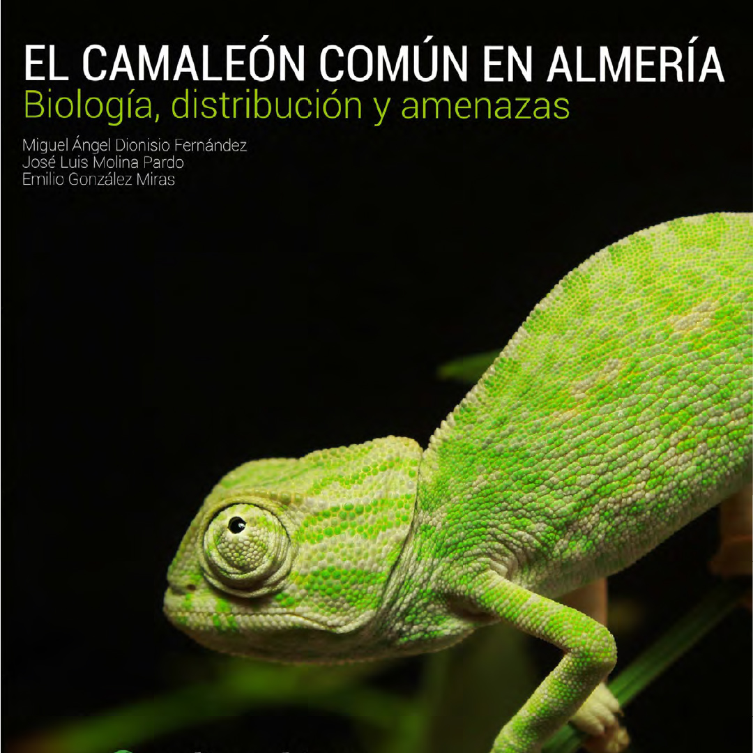 El camaleón común en Almería