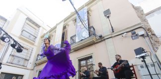 flamenco-de-almeria