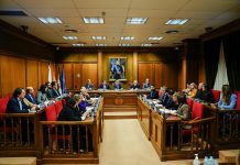 Pleno Nuevo Plan Estratégico de Subvenciones