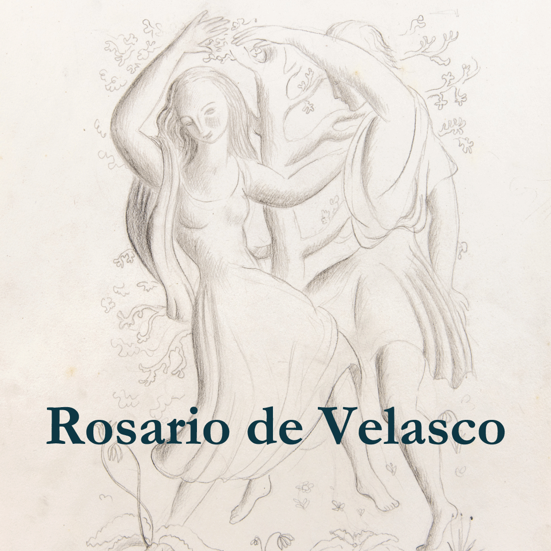 cartel MuReC Rosario de Velasco