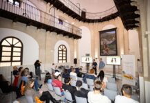 El tradicional Taller de Videoarte de FICAL centra este año su edición en la figura de la serbia Marina Abramović