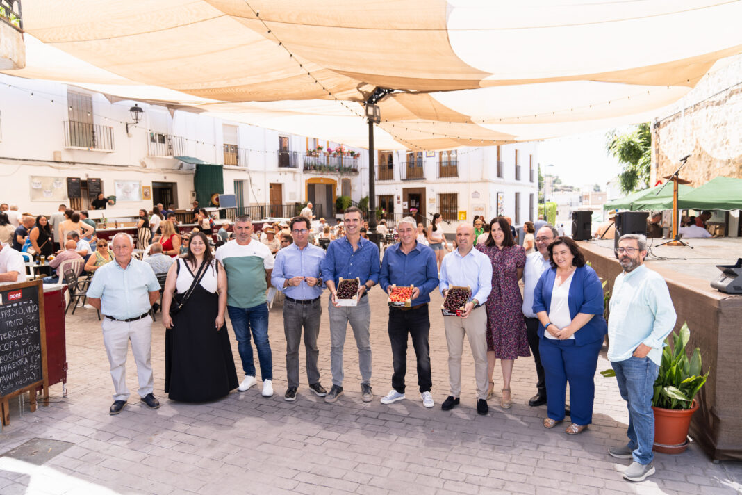 Fiesta de la cereza (4)